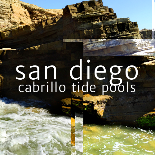 San Diego Cabrillo Tide Pools Photography