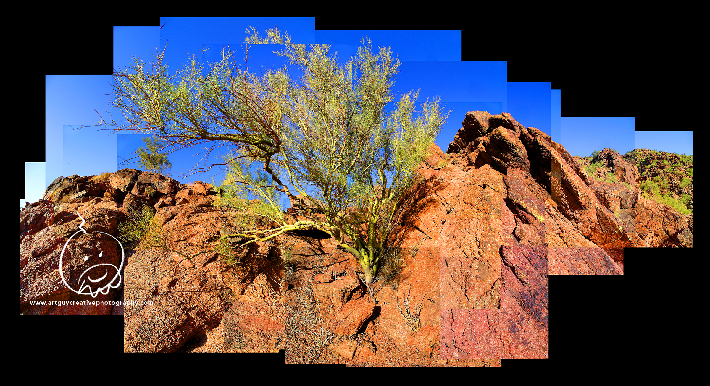 Camelback Mountain Arizona Desert Photography Tree Rocks