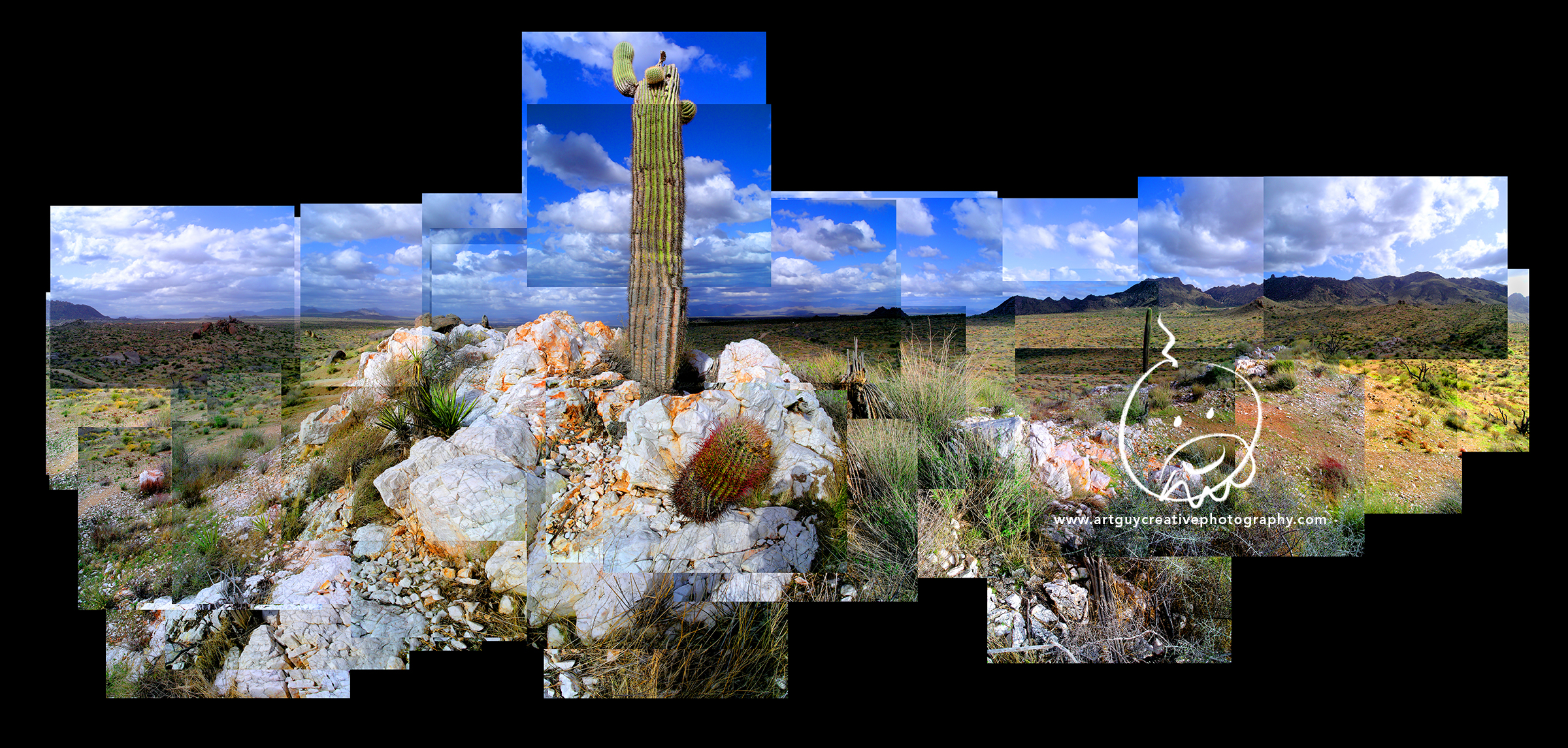Arizona Desert Photography Rock Rooted Saguaro Cactus